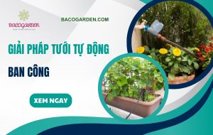 Giải pháp tưới tự động ban công tiện lợi TIẾT KIỆM thời gian