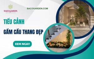 20+ mẫu tiểu cảnh gầm cầu thang đẹp hiện đại ẤN TƯỢNG