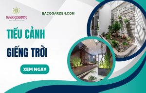 55+ mẫu tiểu cảnh giếng trời hài hòa hợp PHONG THỦY