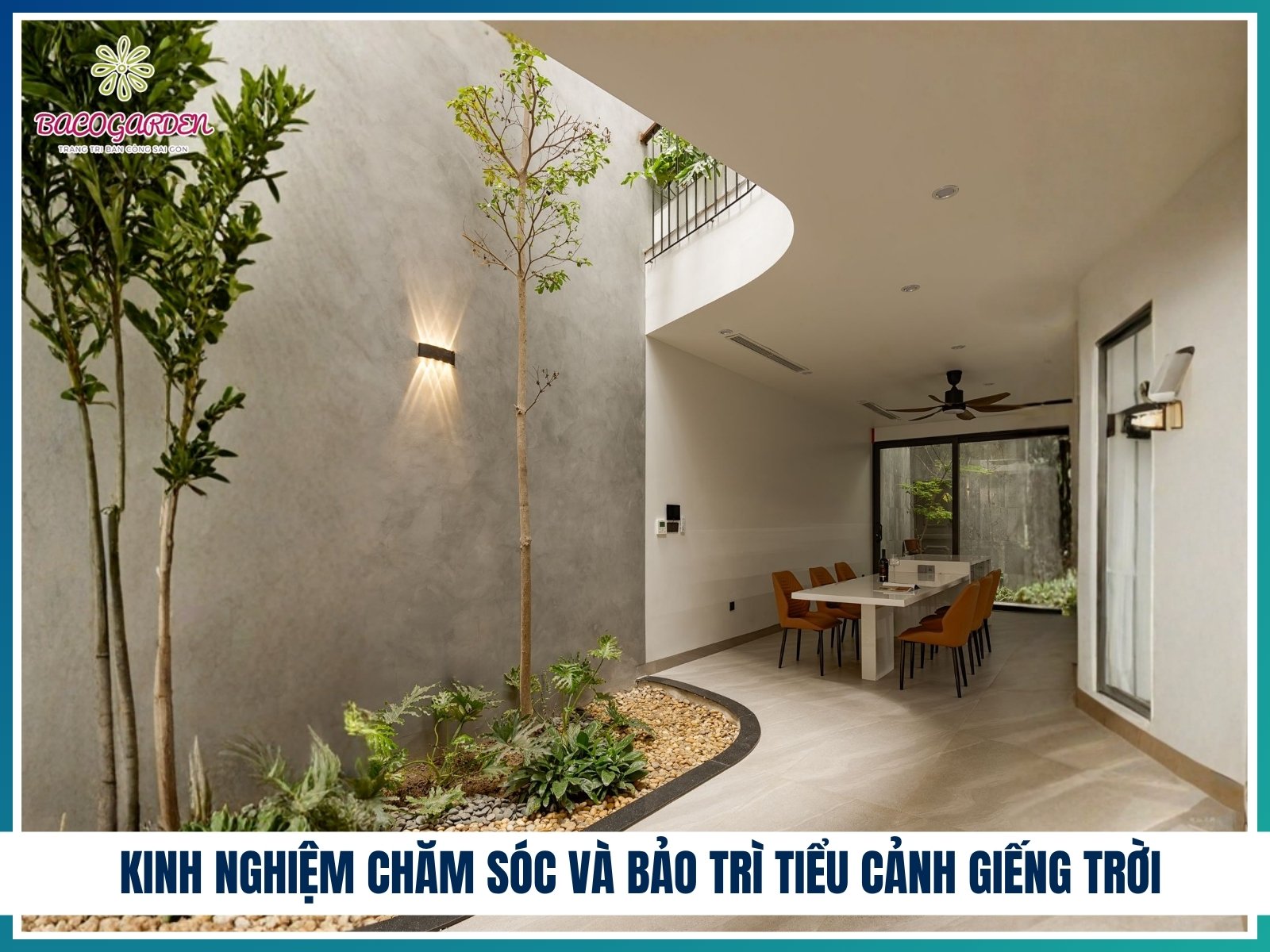 Kinh nghiệm chăm sóc và bảo trì tiểu cảnh giếng trời