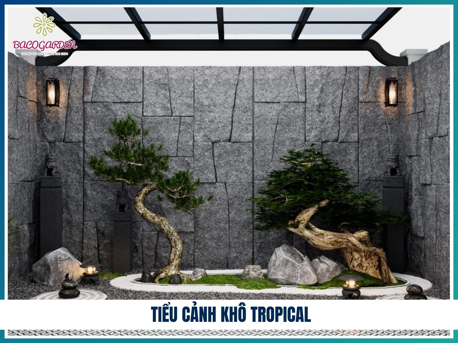Tiểu cảnh khô tropical