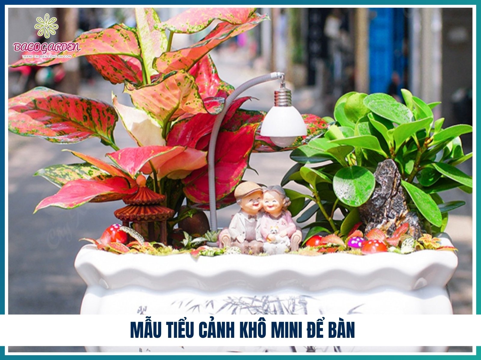 Mẫu tiểu cảnh khô mini để bàn