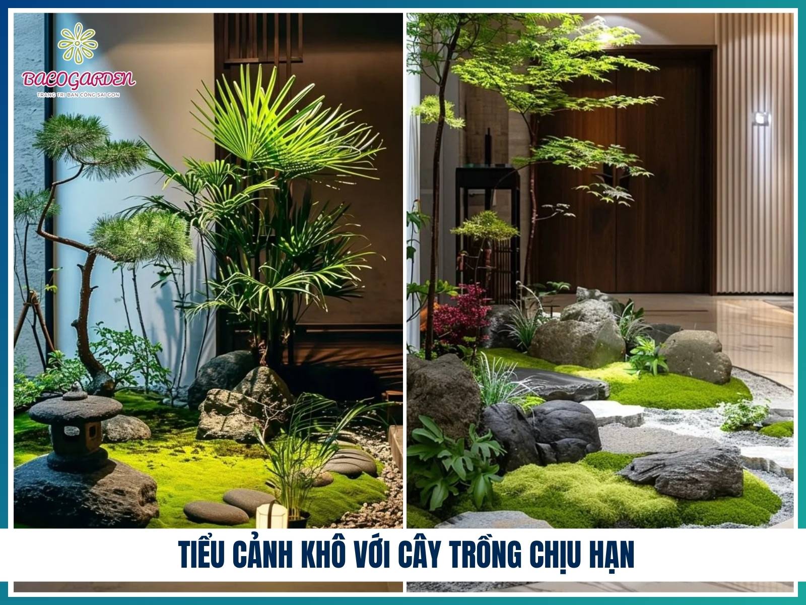 Tiểu cảnh khô với cây trồng chịu hạn