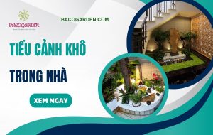 20+ mẫu tiểu cảnh khô trong nhà ẤN TƯỢNG hợp phong thủy