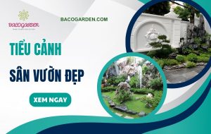 155+ mẫu tiểu cảnh sân vườn đẹp độc đáo được ƯA CHUỘNG