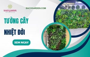 90+ mẫu tường cây nhiệt đới đẹp HIỆN ĐẠI ấn tượng