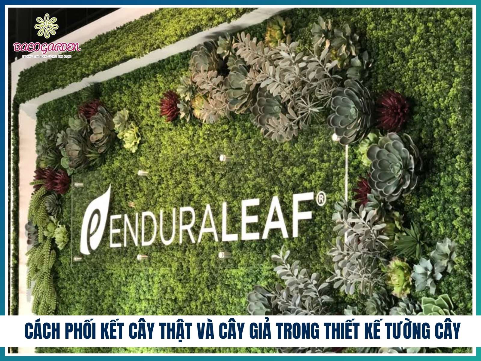 Cách phối kết cây thật và cây giả trong thiết kế tường cây