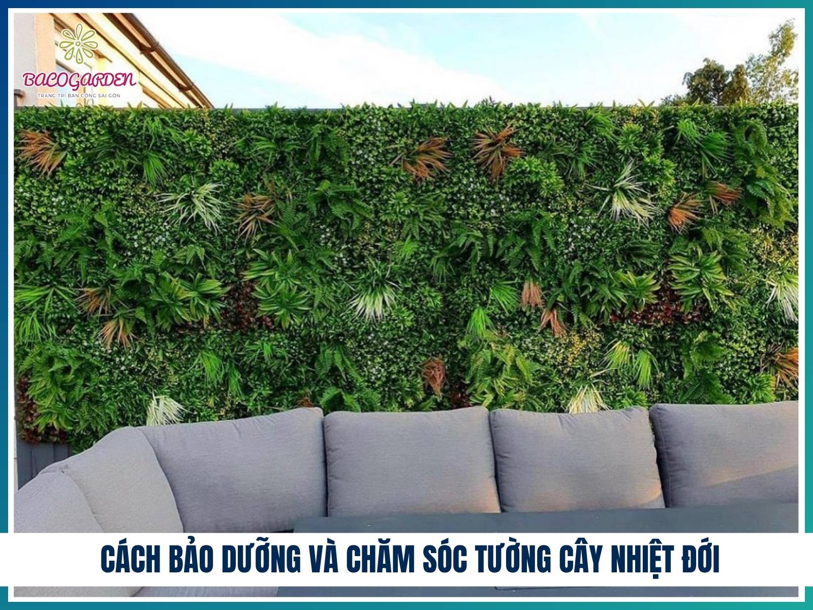 Cách bảo dưỡng và chăm sóc tường cây nhiệt đới