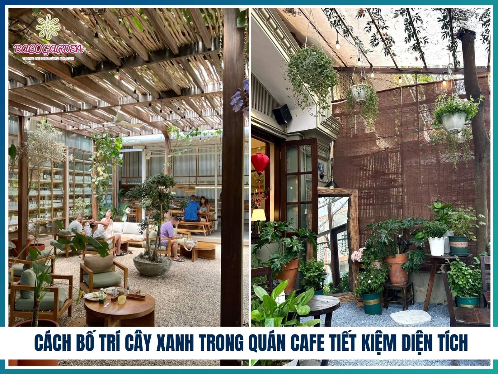 Cách bố trí cây xanh trong quán cafe tiết kiệm diện tích