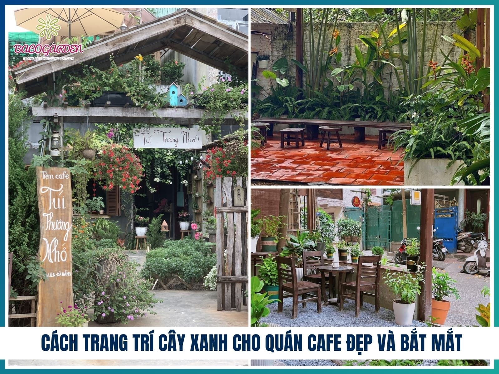 Cách trang trí cây xanh cho quán cafe đẹp và bắt mắt