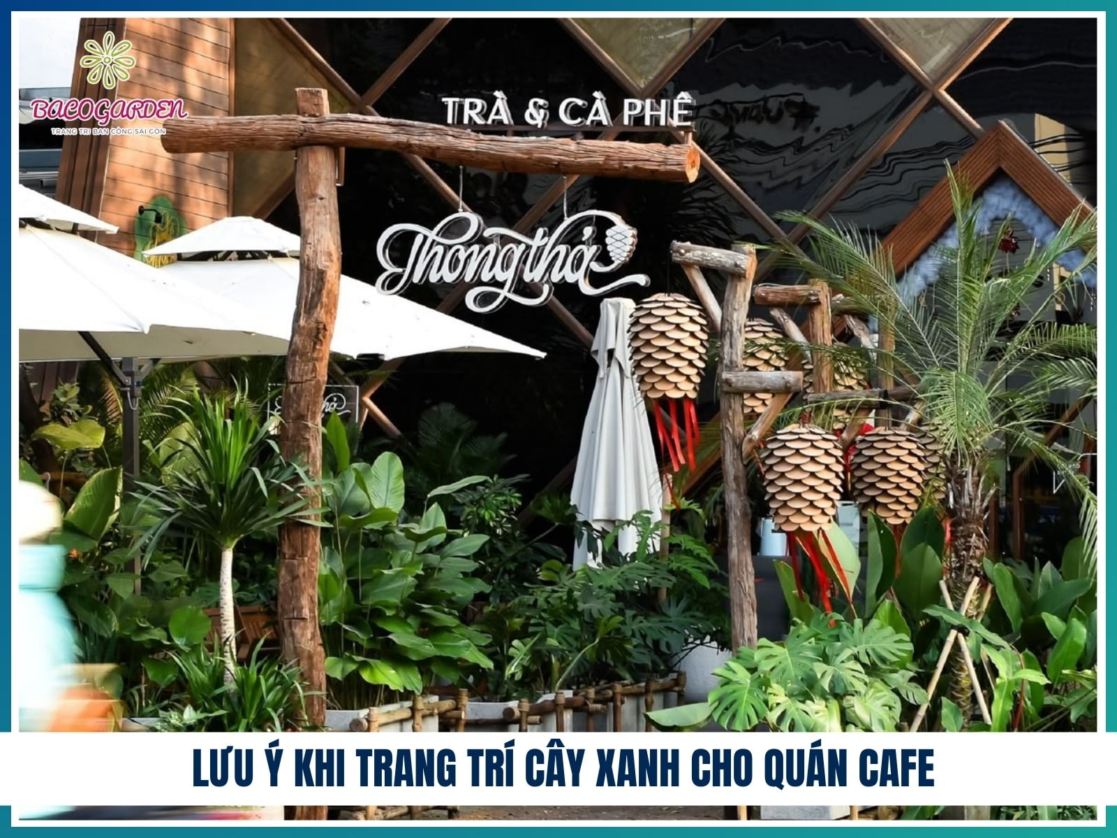 Lưu ý khi trang trí cây xanh cho quán cafe