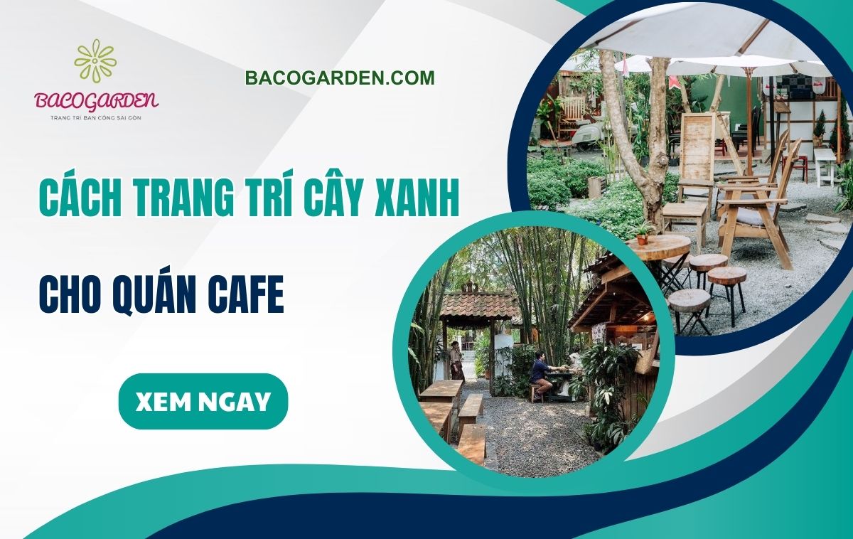 Cách trang trí cây xanh cho quán cafe đẹp mắt THU HÚT