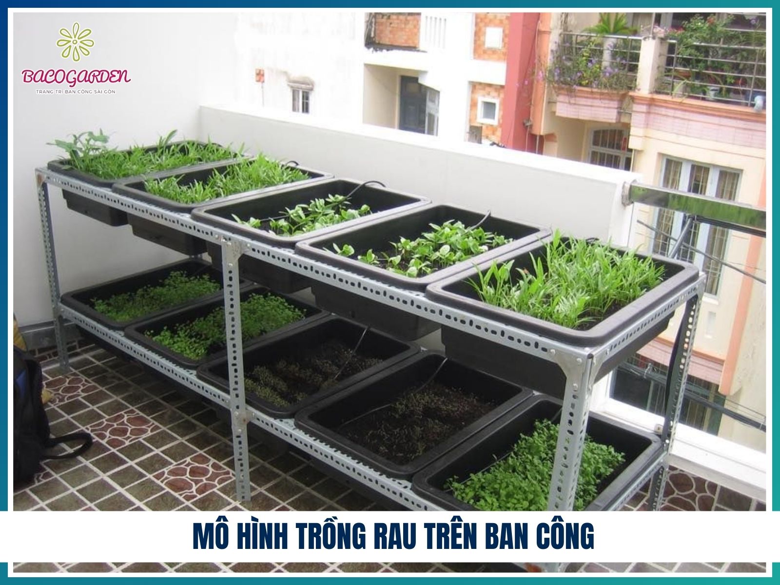 Mô hình trồng rau trên ban công
