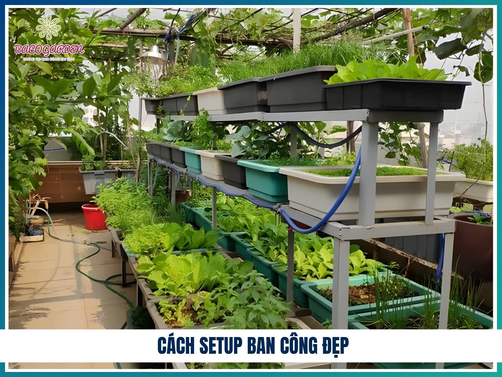 Cách setup ban công đẹp