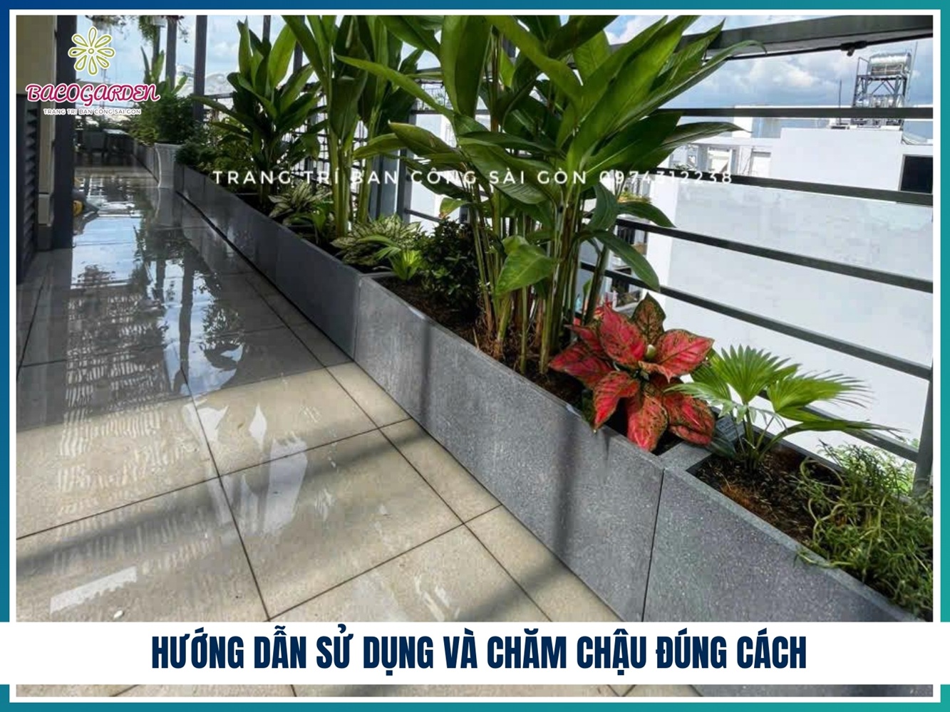 Hướng dẫn sử dụng và chăm chậu đúng cách