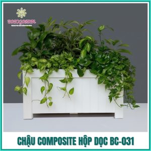Chậu Composite hộp dọc BC-031