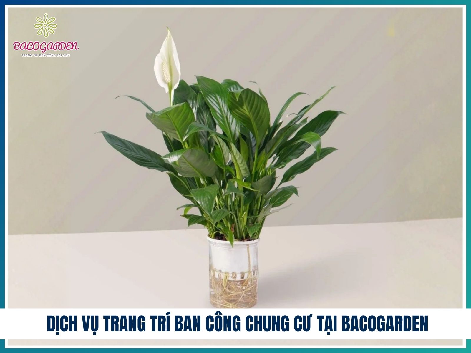 Dịch vụ trang trí ban công chung cư tại BACOGARDEN