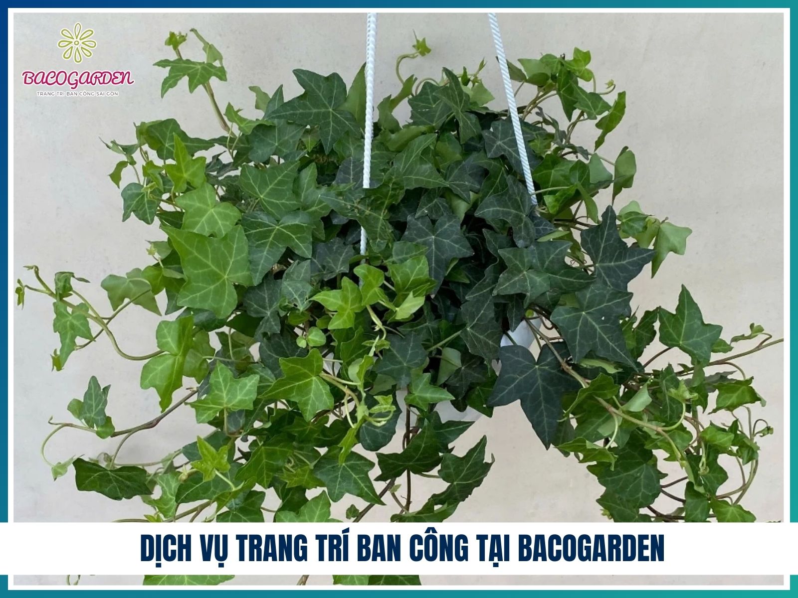 Dịch vụ trang trí ban công tại BACOGARDEN