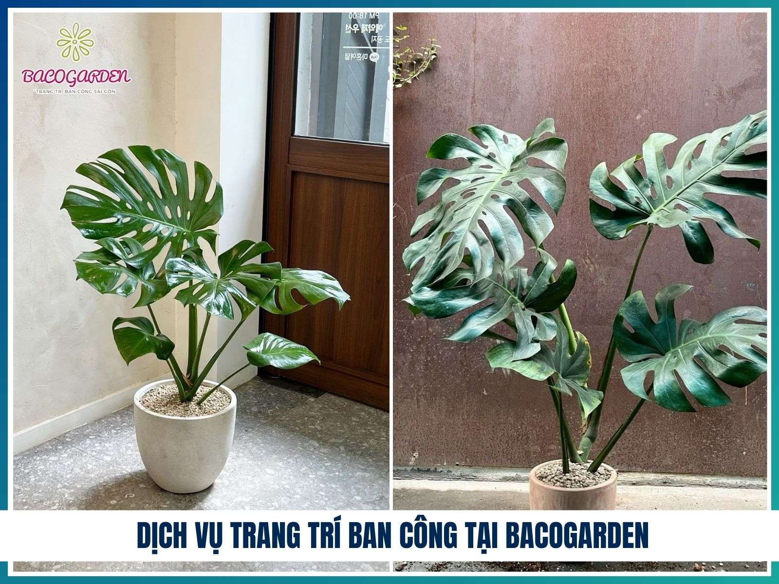 Dịch vụ trang trí ban công tại BACOGARDEN