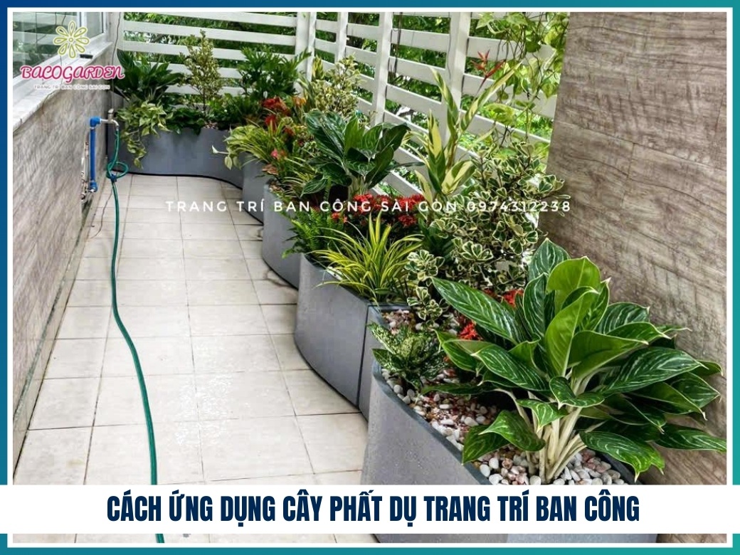Cách ứng dụng cây phất dụ trang trí ban công