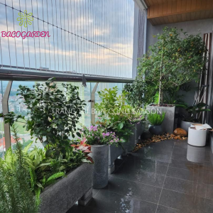 Trang Trí Ban Công Tiểu Cảnh