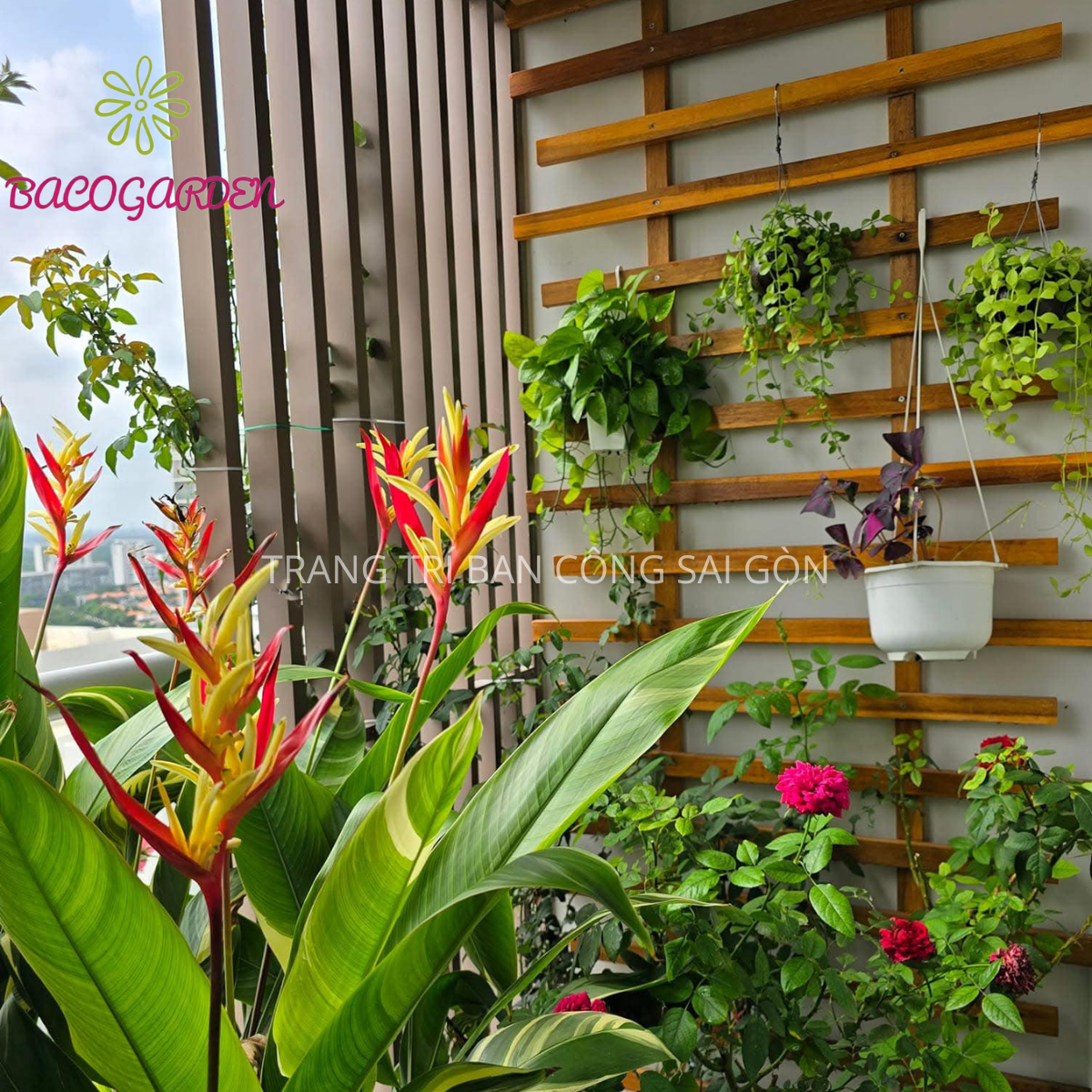 BAN CÔNG GÓC LÝ TƯỞNG BẰNG CHẬU COMPOSITE