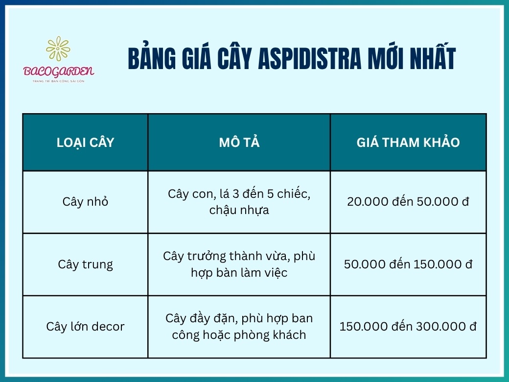 Bảng giá cây aspidistra mới nhất