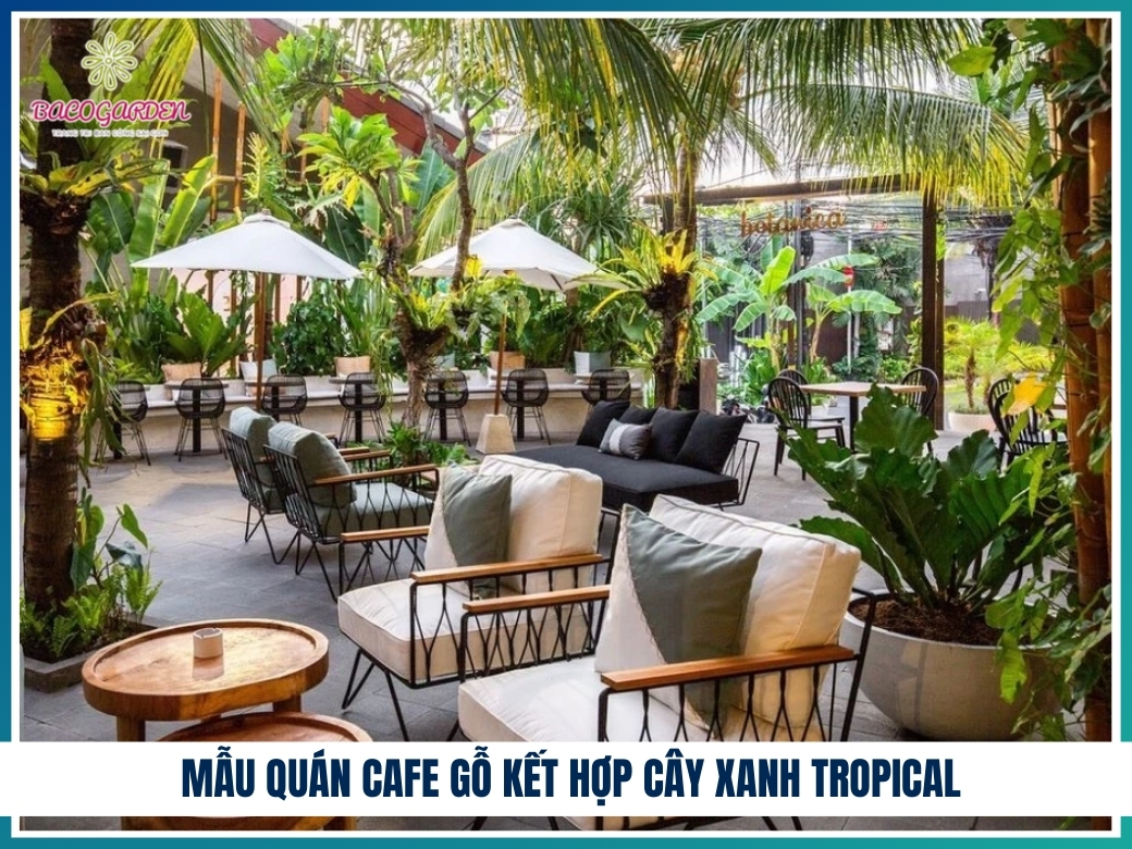 Mẫu quán cafe gỗ kết hợp cây xanh Tropical