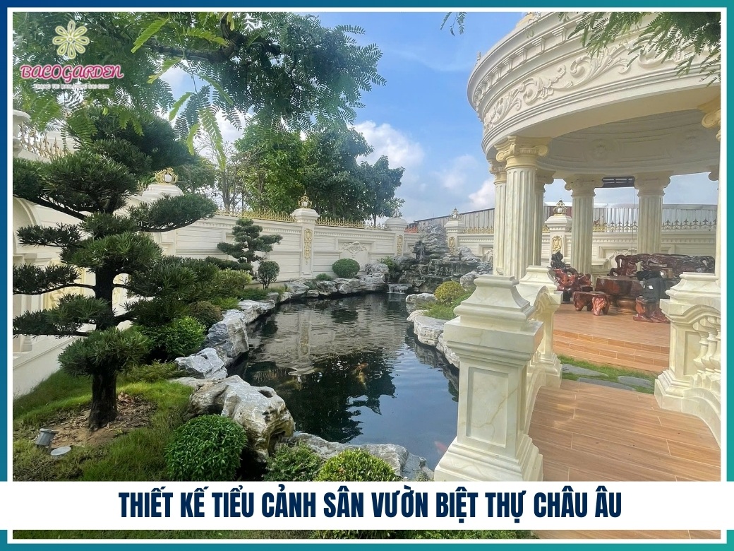 Thiết kế tiểu cảnh sân vườn biệt thự Châu Âu