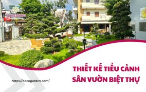 Xu hướng thiết kế tiểu cảnh sân vườn biệt thự ĐẲNG CẤP