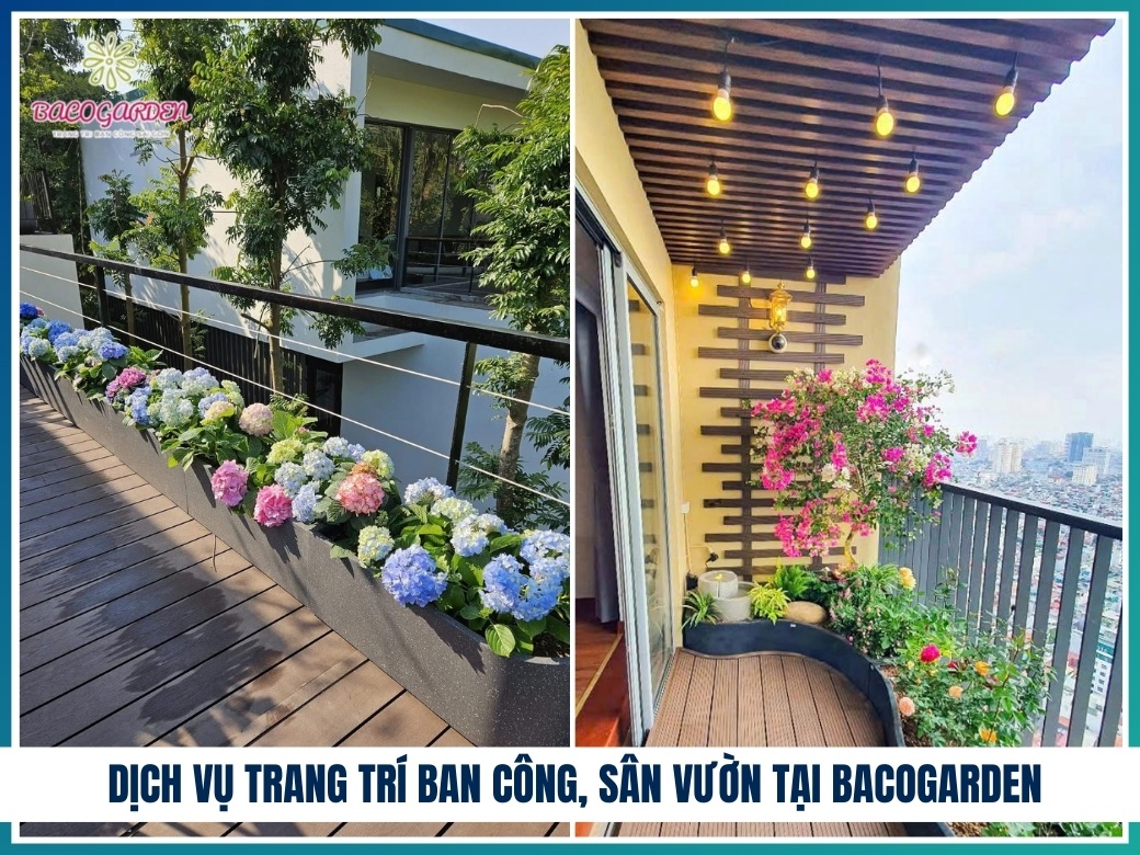 Dịch vụ trang trí ban công, sân vườn tại BACOGARDEN