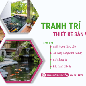 Thiết Kế Sân Vườn - Hồ Cá Koi