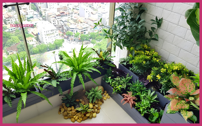 Trang Trí Sân Thượng