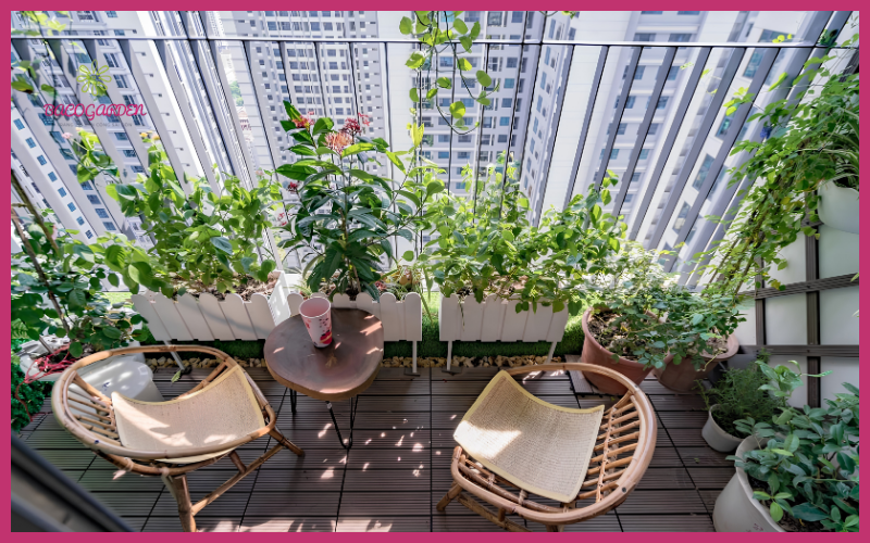 Trang Trí Sân Thượng