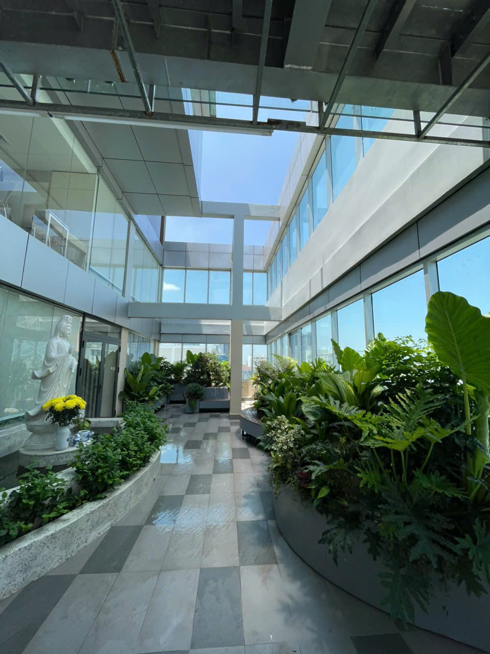 GIẢI PHÁP TRANG TRÍ KHUÔN VIÊN BỆNH VIỆN HIỆN ĐẠI