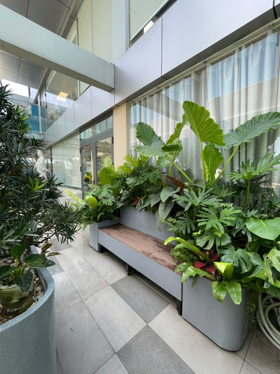 GIẢI PHÁP TRANG TRÍ KHUÔN VIÊN BỆNH VIỆN HIỆN ĐẠI