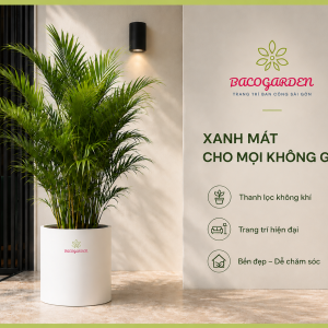 Chậu composite tài lộc