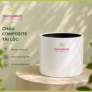 Chậu composite tài lộc