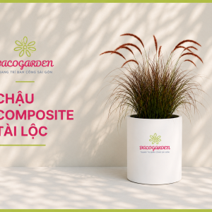 Chậu composite tài lộc