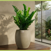 Chậu composite hạnh phúc
