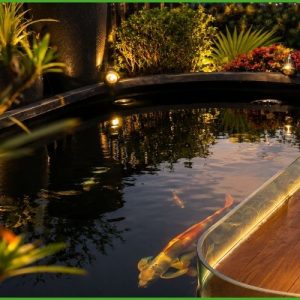 Hồ cá composite dáng uốn
