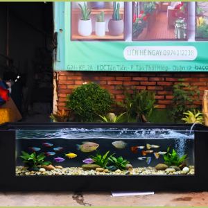 Hồ cá composite