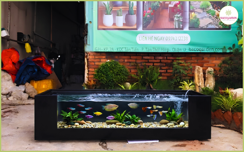 Hồ cá composite