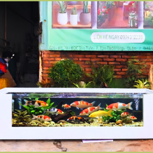 Hồ cá composite