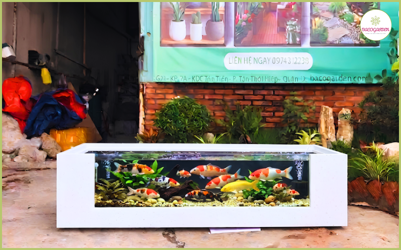 Hồ cá composite