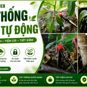 Hệ Thống Tưới Nước Tự Động