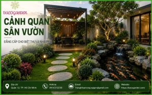 Thiết Kế Cảnh Quan Sân Vườn