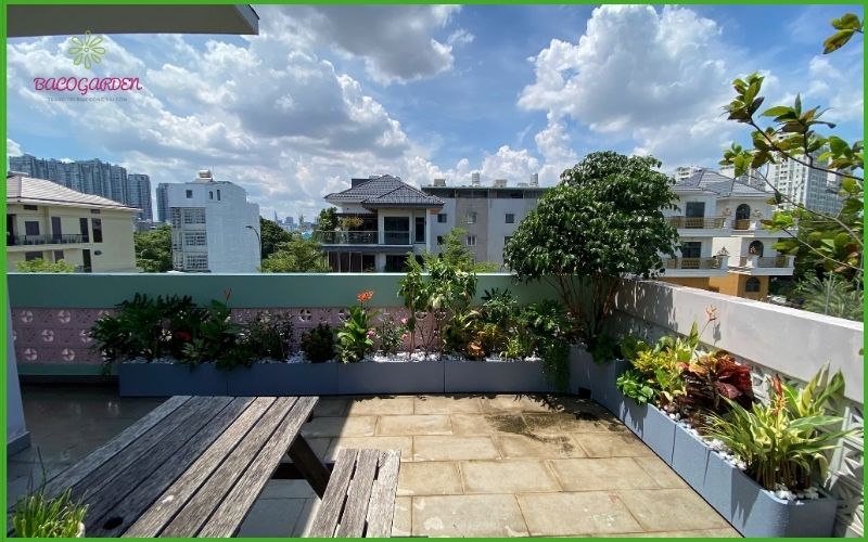 Thiết kế sân thương hiện đại