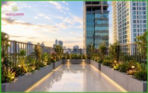 Thiết kế sân thương hiện đại