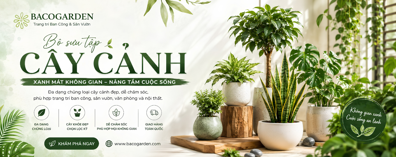 Danh mục cây cảnh